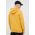 Helly Hansen hanorac de bumbac HH LOGO HOODIE bărbați, culoarea gri, cu glugă, cu imprimeu  33977