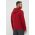 Helly Hansen hanorac de bumbac HH LOGO HOODIE bărbați, culoarea gri, cu glugă, cu imprimeu  33977