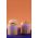 &k amsterdam recipient pentru articole mici Sunflower