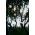 Sirius Ghirlandă cu LED-uri Luke Start set, 10 LED 5 m
