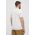 Salewa tricou sport Pure Eagle Frame Dry culoarea gri, cu imprimeu