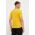 Salewa tricou sport Pure Eagle Frame Dry culoarea gri, cu imprimeu