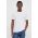 AllSaints tricou din bumbac culoarea turcoaz, neted