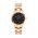 Daniel Wellington ceas Iconic Link femei, culoarea roz