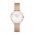 Daniel Wellington ceas Petite 28 Lumine femei, culoarea roz