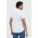 Hollister Co. camasa barbati, cu guler button-down, regular