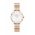 Daniel Wellington ceas Petite Lumine 28 5-Link femei, culoarea auriu