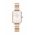 Daniel Wellington ceas Quadro Lumine Quadro Lumine femei, culoarea auriu