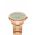 Daniel Wellington ceas Iconic Link Emerald 32 femei, culoarea auriu