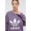 adidas Originals hanorac de bumbac femei, culoarea violet, cu imprimeu