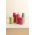 Design Letters cana termica Thermo/Insulated Cup