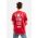 Alpha Industries tricou din bumbac culoarea roșu, cu imprimeu 116512.451-red