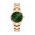 Daniel Wellington ceas Iconic Link Emerald femei, culoarea auriu