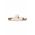 Birkenstock papuci Arizona femei, culoarea bej, 1027339