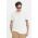Hollister Co. tricou din bumbac barbati, culoarea bej, cu imprimeu
