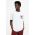 AllSaints tricou din bumbac ROLLER barbati, culoarea alb, cu imprimeu