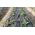 Folie membrana Geotextil Terasin NS 150 gr/mp, latime 2 m, lungime 100 m, suprafata 200 mp, agrotextil antiburuieni, pavaje, drenaje