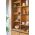 &k amsterdam castron Coupe Clam Orange 2-pack