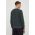 Colmar bluza barbati, culoarea verde, neted