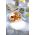 &k amsterdam castron Lemon Moroccan 4-pack