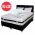 Set Avantaj saltea superortopedica Tulip 160x200x30 plus 2 perne 50 x70 plus Husa plus Pilota microfibra iarna 180x200