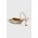 Aldo pantofi cu toc Nailah culoarea bej, 13740397.Nailah