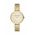 Armani Exchange ceas femei, culoarea auriu