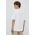 Dickies tricou din bumbac AITKIN CHEST TEE SS barbati, culoarea alb, cu imprimeu, DK0A4Y8O