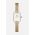 Daniel Wellington ceas femei, culoarea auriu
