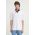 AllSaints tricou din bumbac MONTANA SS CREW barbati, culoarea alb, neted, MD510Z