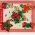 BrushArt KIDS Holiday Collection Hair clips agrafe de par