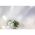 Aveda Hand Relief & Foot Relief Set set cadou (pentru corp)