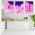 Set 3 tablouri arhitectura moderna minimalista - Dimensiune multicanvas: 3 tablouri 80x120 cm