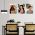 Set 3 tablouri femei multicanvas - Dimensiune multicanvas: 3 tablouri 50x70 cm