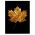 Frunza aurie de artar tablou - Material produs:: Poster pe hartie FARA RAMA, Dimensiunea:: 50x70 cm