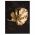 Frunza Aurie Monstera Tablou - Material produs:: Tablou canvas pe panza CU RAMA, Dimensiunea:: 60x90 cm