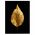 Frunza Aurie Tablou Modern - Material produs:: Poster pe hartie FARA RAMA, Dimensiunea:: 70x100 cm