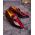 Pantofi Loafers barbatesti, bordeaux piele lacuita/catifea- P1734