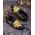 Loafers de barbati, negri, piele intoarsa, broderie aurie- P1769