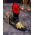 Loafers de barbati, negri, piele intoarsa, broderie aurie- P1769