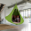 Scaun suspendabil balansoar, verde, KLORIN NEW KIDS
