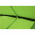 Scaun suspendabil balansoar, verde, KLORIN NEW KIDS