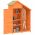 Magazie de unelte de gradina maro 120x53