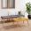 Set mobilier de gradina cu perne