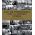 100 de fotografii care au schimbat lumea - Margherita Giacosa, Roberto Mottadelli, Gianni Morelli - carte - DPH
