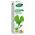 Extract BIO de Ginkgo Biloba, 50 ml - Phyto-Biopole