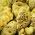 Burete natural Silk M, 1buc - Förster's Natural Products