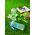 Sticla de apa, Snips, Save the Ocean-Whale, 0.50 L, tritan