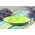 Set 6 farfurii pentru paste Gala Green, Heinner, Ø22 cm, ceramica, verde